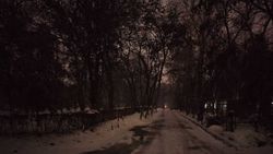 В Ореховой роще полная темнота. Фото горожанина