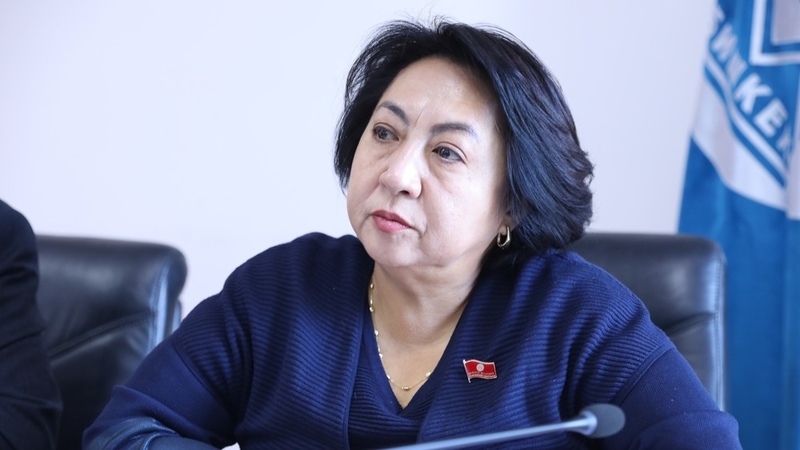 Bishkek councilor proposes introduction of school buses to address traffic jams - Vimarsana News