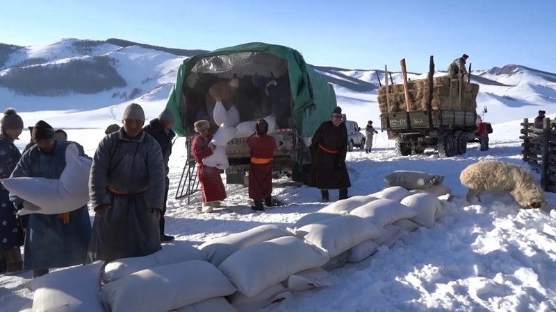 Mongolia experiences extremely harsh winter - State Emergency Commission - Vimarsana News