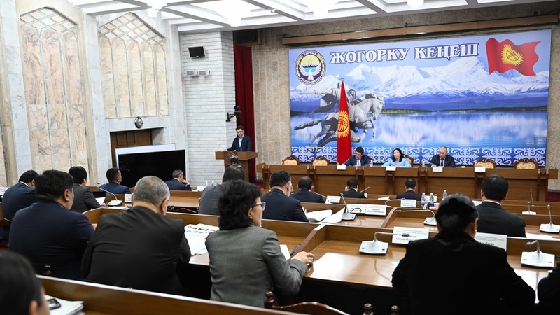 Parliament Committee passes bill eliminating avoidance of imprisonment for pedophilia in first reading - Vimarsana News