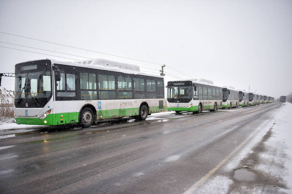 Автобус 145 дагомыс