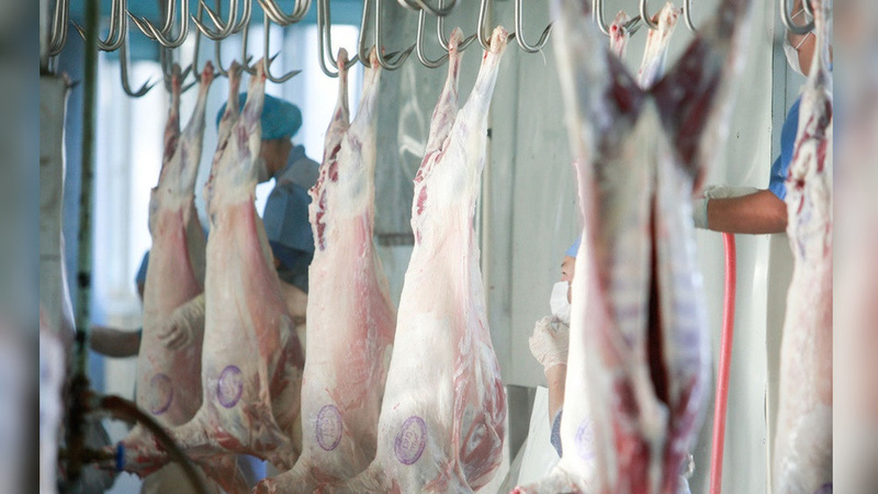 Meat export increases in Mongolia - Vimarsana News