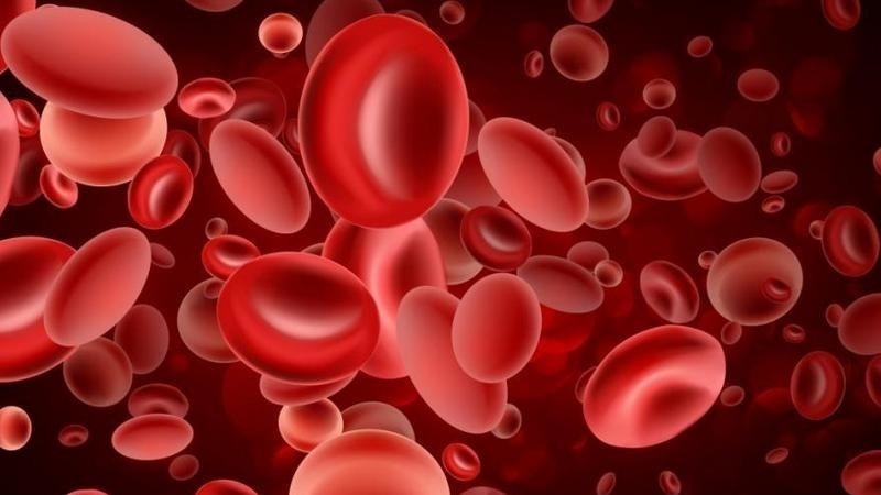 Mandatory Health Insurance Fund buys blood clotting factors for children with hemophilia for 29.9 million soms - Vimarsana News