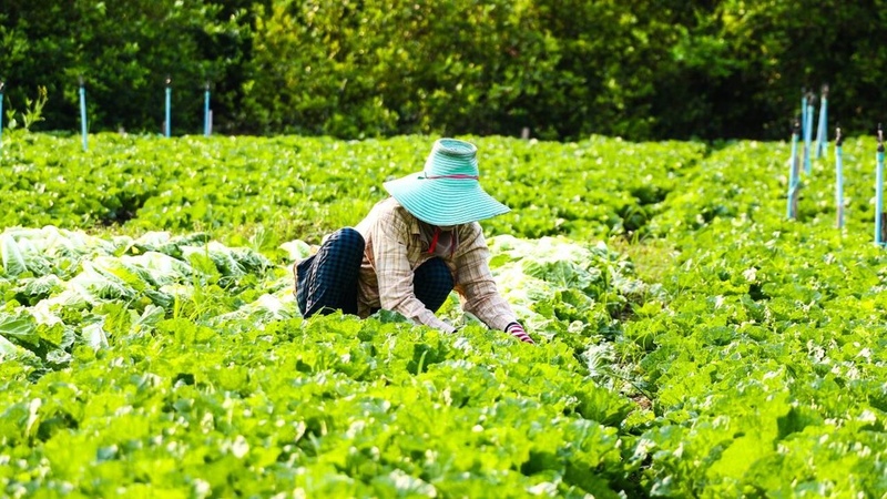 Unemployment is biggest concern for Kyrgyzstanis, citizens wish to know where they can travel for seasonal work: MP - Vimarsana News