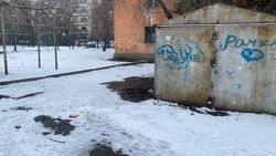 Сотрудники Ленинского акимиата не нашли мусор между гаражами на ул.Токтогула. Фото, видео