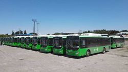 Горожанин жалуется, что автобус №31 заменили на малогабаритный частный автобус