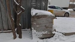 «Тазалык» отремонтирует мусорный бак на Валиханова, - мэрия