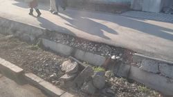 Новый тротуар на ул.Скрябина повредил «Бишкекводхоз» во время установки лотков, - мэрия