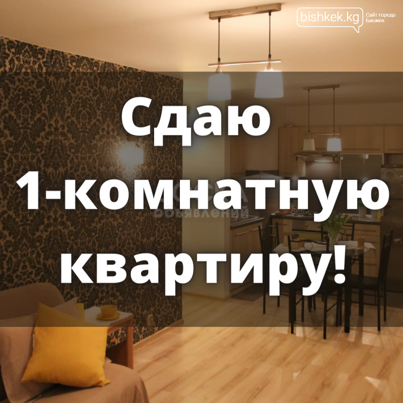 Сдаю 1-комнатную квартиру, 1кв. м., этаж - 1/1, Боконбаева/Шопокова.