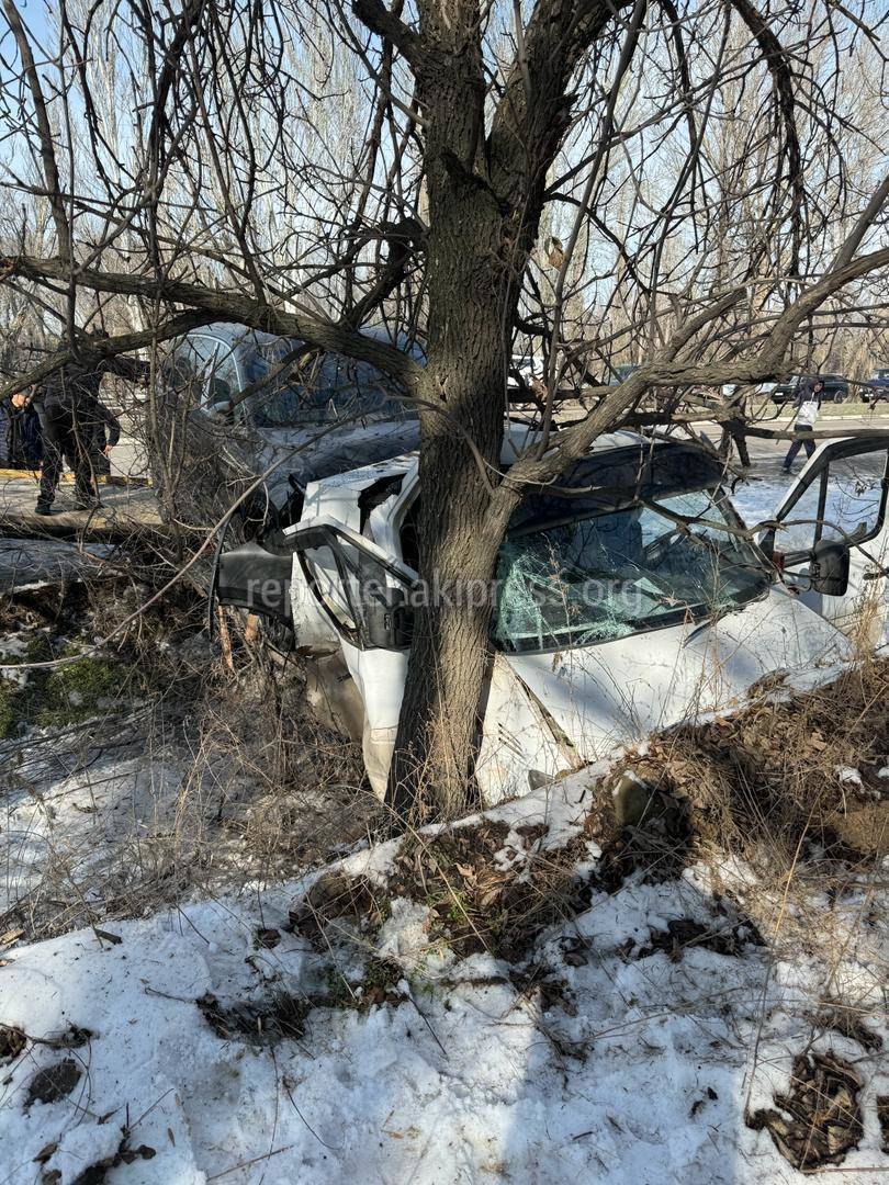 Эвакуатор с авто на борту не справился с управлением и врезался в дерево.  Фото