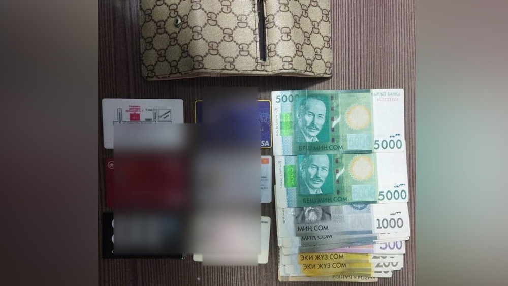 В Бишкеке у женщины украли кошелек с 60 тыс. сомов. Задержан подозреваемый – Сводка АКИpress