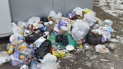 Куча мусора на ул.Тимирязева. Фото