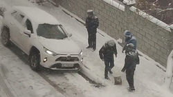 «Корова на льду». Милиционеры помогли водителю, но они рассмешили очевидца. Видео