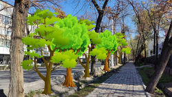 В «Бишкекзеленстрой» рассказали, сколько деревьев и кустарников посадили с начала 2024 года