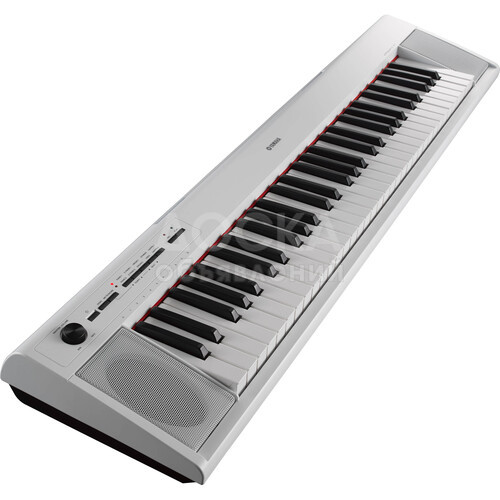 Yamaha NP-12 Piaggero Portable Piano-Style Keyboard with AC Adapter (White)