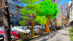 Почему не засаживают деревьями центральные улицы Бишкека? - горожанин