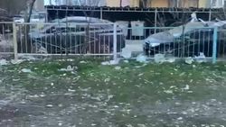 В мкр Улан мусор разлетается из баков. Видео