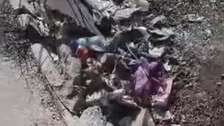 Житель Октябрьского района жалуется на мусор в арыке. Видео