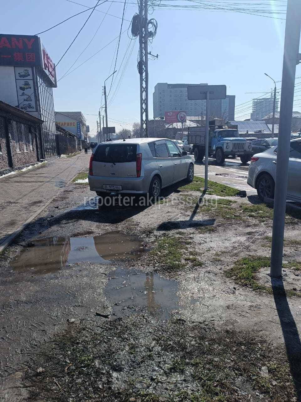 Тойота» припаркована в зеленой зоне на ул.Ибраимова. Фото