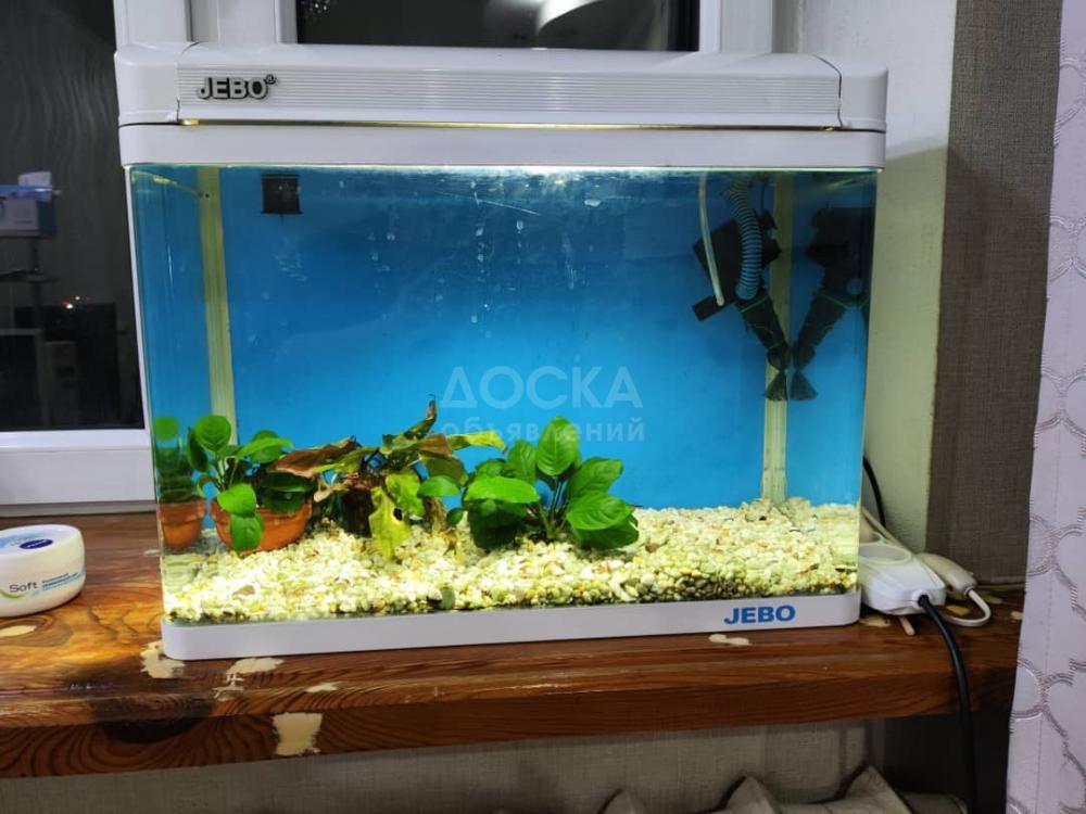 Продаю аквариум Jebo (вместимость 50 литров), с крышкой, фильтром, освещением и подачей кислорода. Есть живые растения и 1 рыбка вуалевый анцитрус