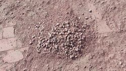На ул.Манаса брусчатка превращается в песок. Фото