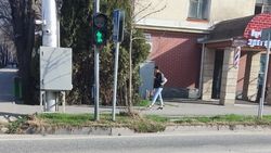 На пешеходном светофоре на Айтматова не работает секундомер. Фото горожанина