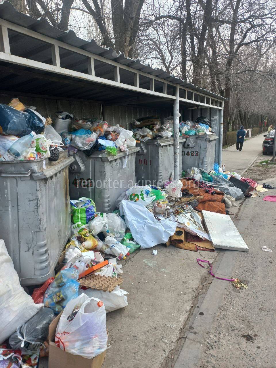 В 6 мкр мусор вываливается из баков. Фото