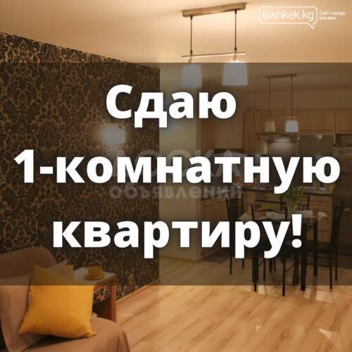 Сдаю 1-комнатную квартиру, 38кв. м., этаж - 4/5, Панфилова/Боконбаева.