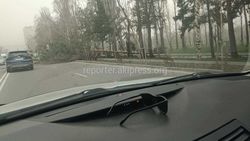 Видео — В Бишкеке сильный ветер 