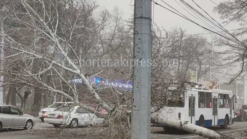 8 power line outages addressed in Bishkek overnight after windstorm - Vimarsana News