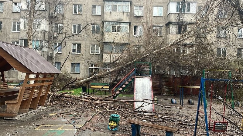 Aftermath of windstorm in Bishkek is expected to be eliminated citywide by evening - Vimarsana News