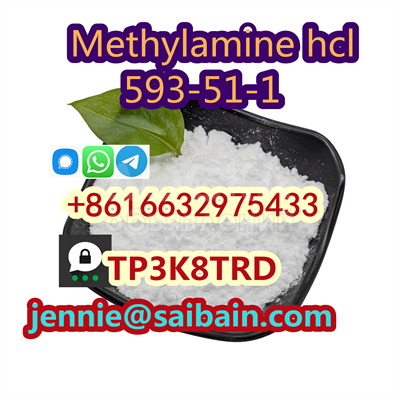 Метиламин гидрохлорид высокой чистоты 593-51-1 Поставщик Метиламин hcl