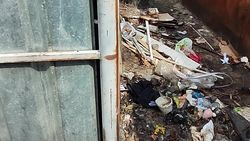 «Мусор, грязь, сажа». Территория возле мусорных баков в ужасном состоянии. Фото
