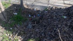 Горожанин просит убрать мусор возле баков в 10 мкр. Фото