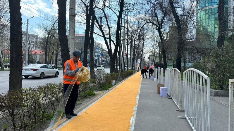 Bicycle Lane Painted On Abdrakhmanov Street In Bishkek - Akipress News 