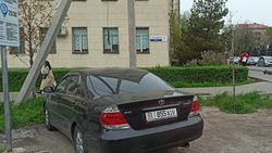 В зеленой зоне на Токтогула-Орозбекова снова паркуют машины, - горожанин
