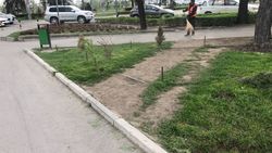 «Обойти нельзя топтать». Пешеходы уничтожают газон на Айтматова. Фото