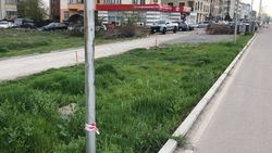 Лента, которой огородили зеленую зону на Южной магистрали, оборвалась. Фото горожанина