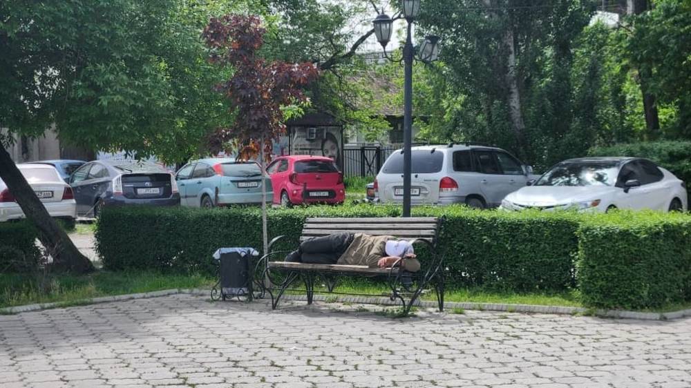 Скамейки возле дома на Манаса-Боконбаева заняты спящими бездомными. Фото