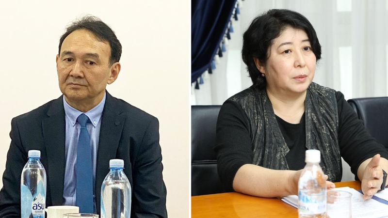 Dinara Kemelova appointed President's Special Representative for ...