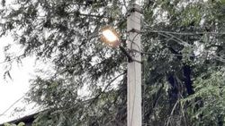 В «Бишкексвет» рассказали, почему на ул.Сыдыкова днем горели фонари