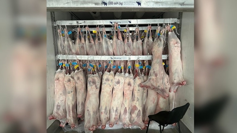 Kyrgyzstan starts exporting chilled lamb to Iran - Vimarsana News