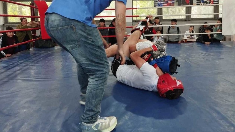 Kara-Balta holds MMA championship of Chui region - Vimarsana News