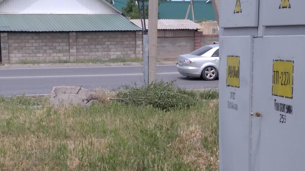На Ахунбаева лежит ветка дерева. Фото