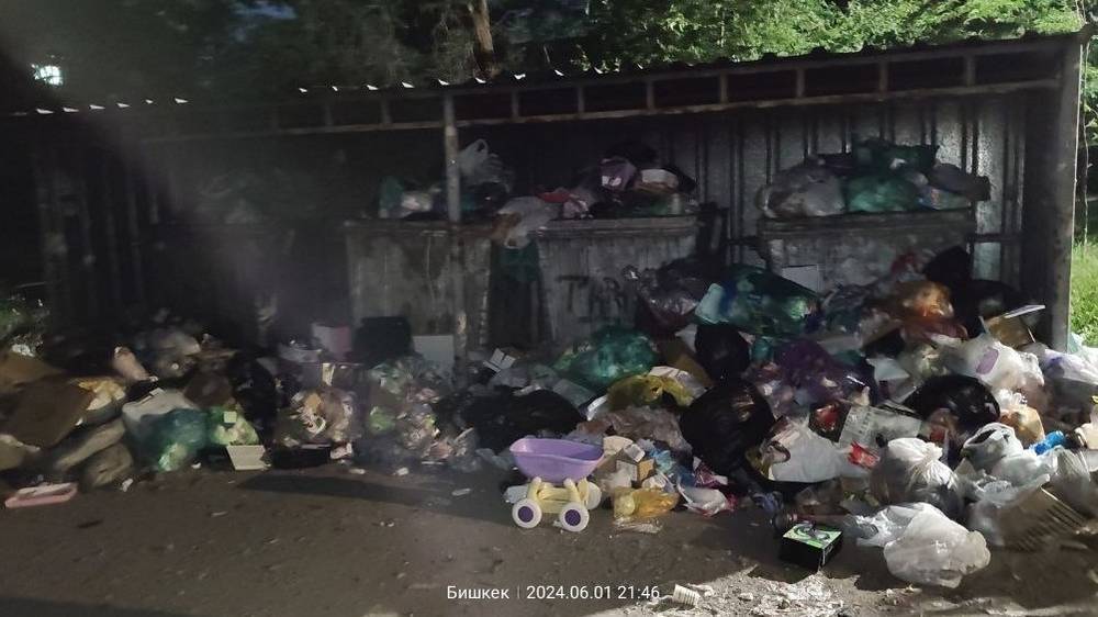 В «Тазалык» рассказали, почему мусор в 9 мкр не убирали