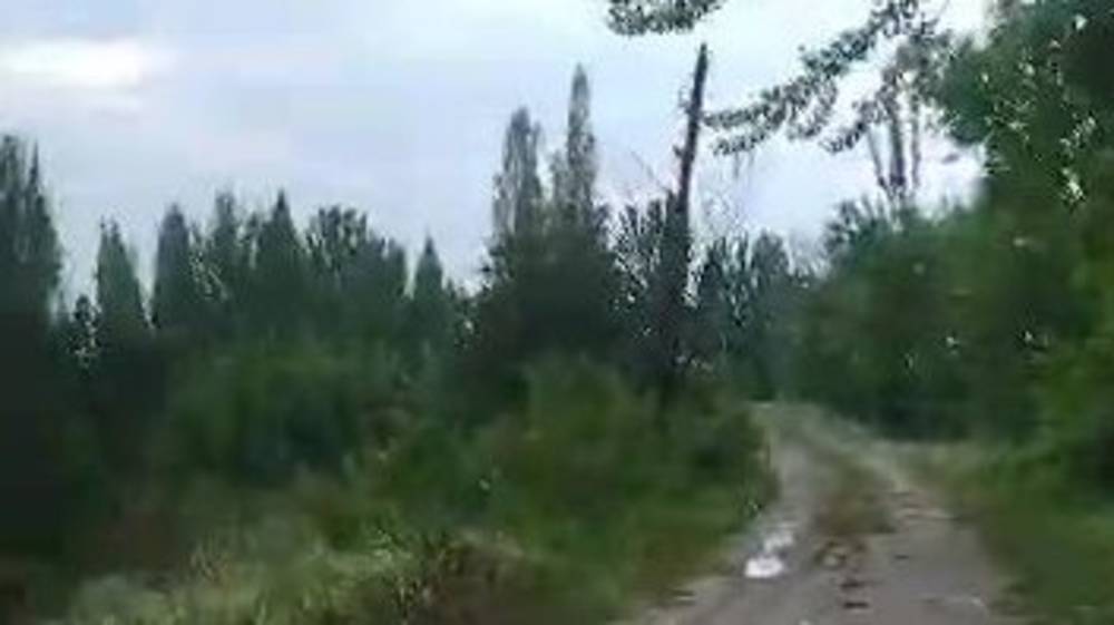 Ошанин жалуется на состояние столбов и проводов. Видео