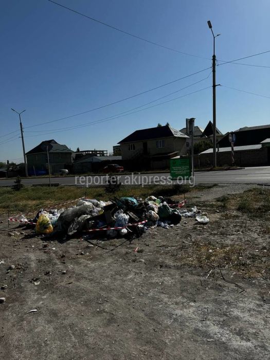Горожане закидали мусором участок, на котором стоит табличка «Мусор не ...