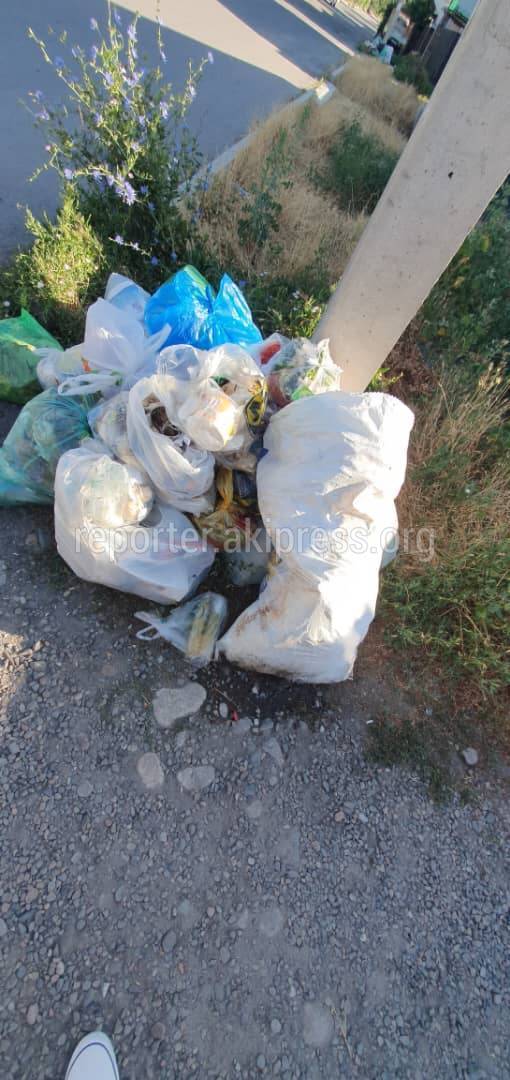 На ул.Тулебердиева пакеты с мусором перекрывают тротуар. Фото