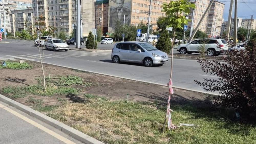 Мэрия спасла зеленую зону на Южной магистрали, но горожане снова начали ее уничтожать. Фото