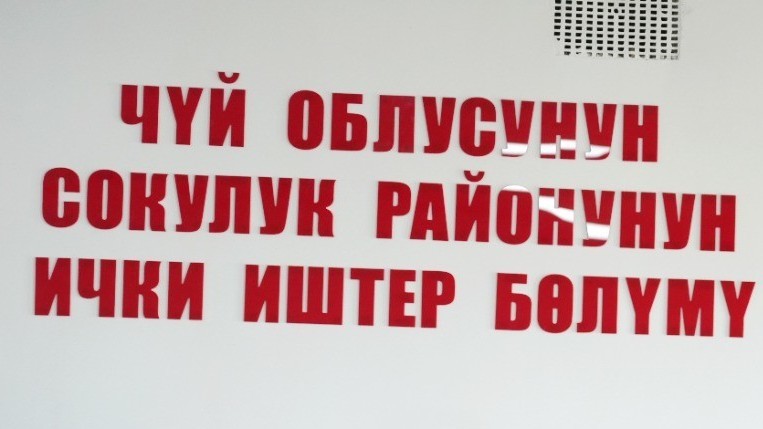 Появилось видео, как в Москве женщина сбила мальчика на пешеходном переходе - pyti-k-sebe.ru | Новости